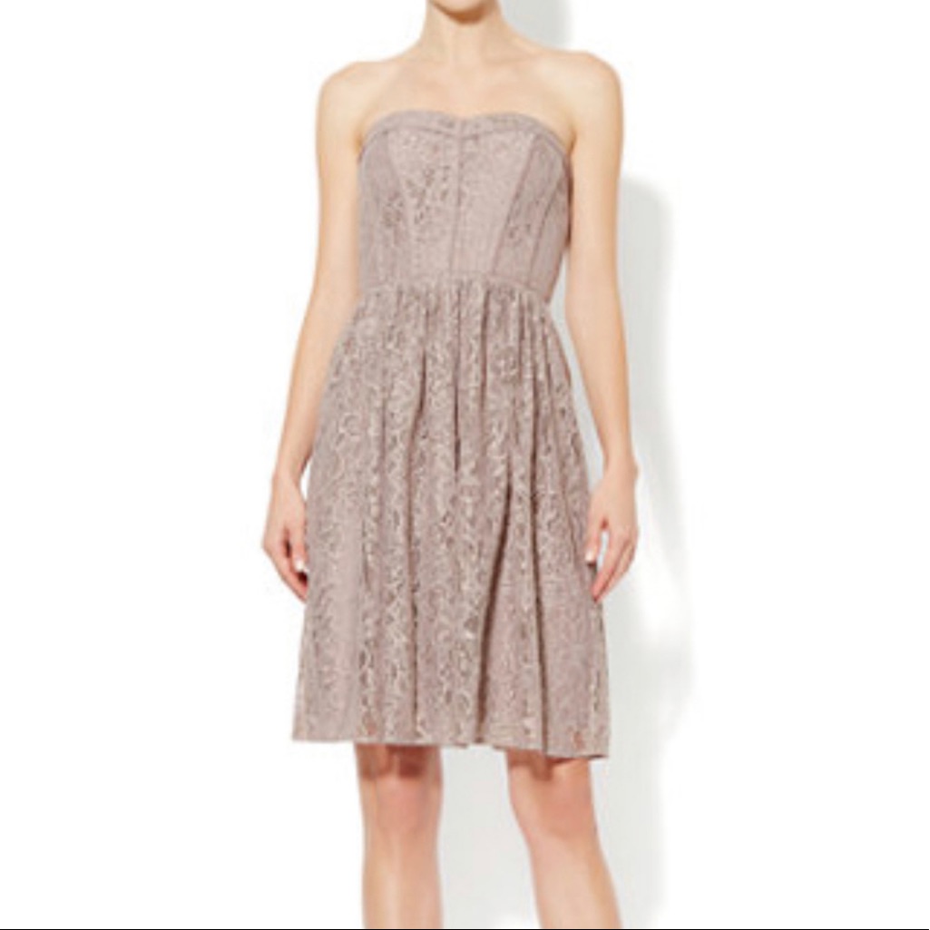 Nwt Eva Mendes Rebecca Lace Strapless Sun Dress In Rose Sz 6